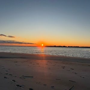 Meet your Posher, Ashby